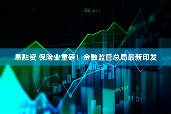 易融资 保险业重磅！金融监管总局最新印发