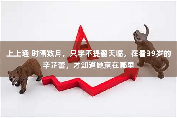上上通 时隔数月，只字不提翟天临，在看39岁的辛芷蕾，才知道她赢在哪里