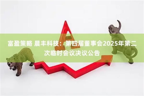 富盈策略 晨丰科技：第四届董事会2025年第二次临时会议决议公告