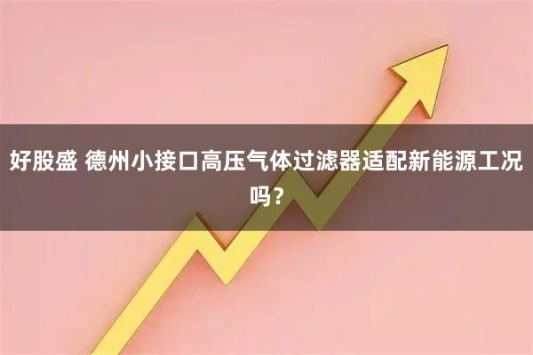 好股盛 德州小接口高压气体过滤器适配新能源工况吗？
