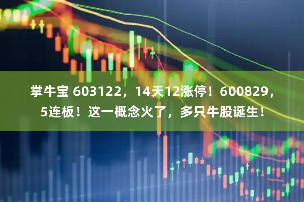 掌牛宝 603122，14天12涨停！600829，5连板！这一概念火了，多只牛股诞生！